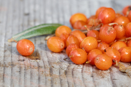 Group of sea buckthorn and leafes on a gray wooden plank closeup, short depth of focusの写真素材