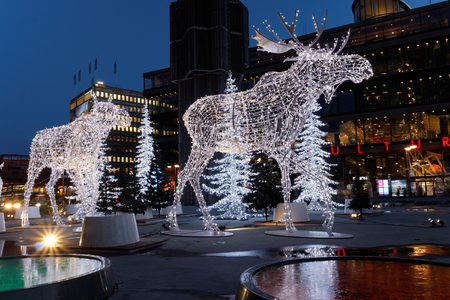 Christmas moose decoration made of light in central Stockholmの写真素材