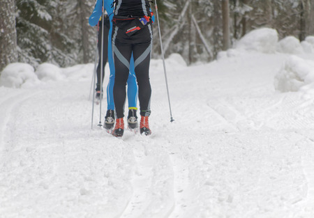 STOCKHOLM - JAN 24, 2016: Rear view of the legs of a group of cross country skiing men in the beautiful spruce forest at the Stockholm Ski Marathon event January 24, 2016 in Stockholm, Swedenのeditorial素材