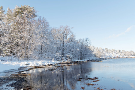 Beautiful trees covered with snow reflecting in the water in the wintry archipelagoの写真素材