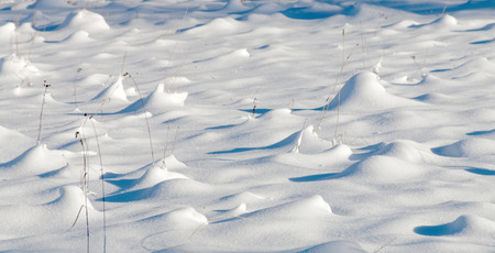 Winter and straw partly covered with snow, High keyの写真素材