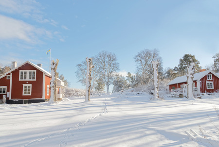 Snowy yard, red country houses, trees and blue skyの写真素材
