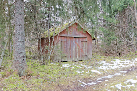 Abandoned barn hidden in the woods, moss on the roofの写真素材