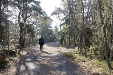 Silhouette of woman walking on a path in the pine forest in bright sunlightの写真素材