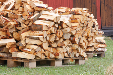 Large stack of birch firewood. Rural red barn wall behind