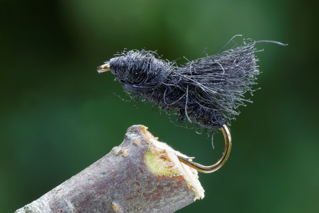 Macro shot of a black wet fly fishing lure used for trout fishing, green leafs out of focus in the backgroundの写真素材
