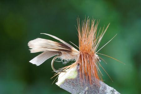 Macro shot of a brown  dry fly fishing fly used for trout fishing, leafs in background out of focusの写真素材