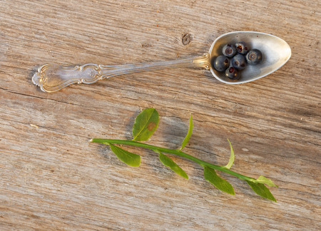 Blueberry in a silver spoone on a wooden table  from above in warm light. Also a blueberry branchの写真素材