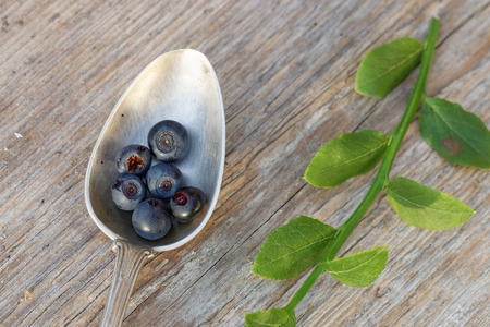 Blueberry in a silver spoone on a wooden table  from above in warm light. Also a blueberry branchの写真素材