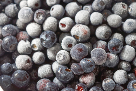Closeup of frosty blueberryの写真素材