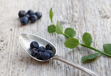 Blueberry in a silver spoone on a wooden table. Also a blueberry branchの写真素材