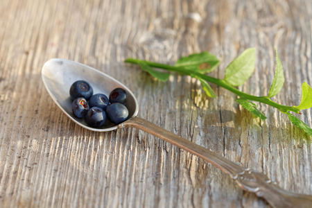 Blueberry in a silver spoone on a wooden table in warm light. Also a blueberry branchの写真素材