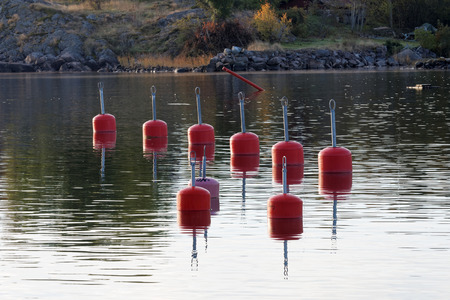 Red buoys in the harbor reflecting in the water a perfect sunny, windless morningの写真素材