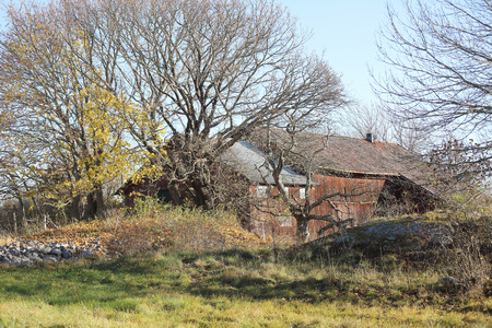 Traditional red barn wall behind the trees during autumnの写真素材