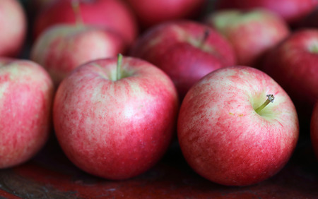 Group of red tasty apples on a red plate, very short depth of focusの写真素材