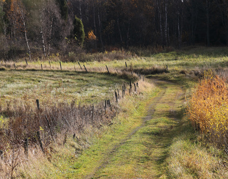 Rural curved small path used by tractors on the meadow. An old fence to hold the cows inside the meadowの写真素材
