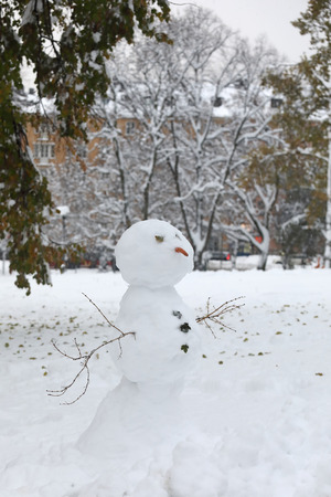Snowman with a carrot nose and braches as arms, trees in the backgroundの写真素材