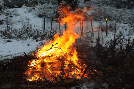 Campfire during dusk, quite high orange flamesの写真素材