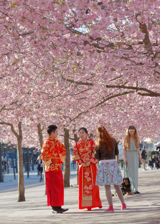 STOCKHOLM, SWEDEN - APRIL 23, 2016: Asian couple in traditional red and golden clothes in the beautiful park Kungstradgarden full of pink cherry bloom,
talking to other peopleのeditorial素材