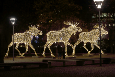 Side view of a herd of Christmas moose made of led light, Nybrokajen, Stockholm, Swedenの写真素材