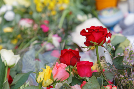 STOCKHOLM, SWEDEN - APR 12, 2017: Flowers from people paying respect to the victims in the terror attack in Stockholm April 07, 2017. April 13, 2017 in Stockholm, Swedenのeditorial素材