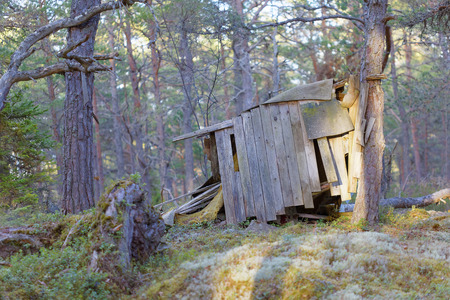 Aged children hut made of plank in the pine tree forest in evening lightの写真素材