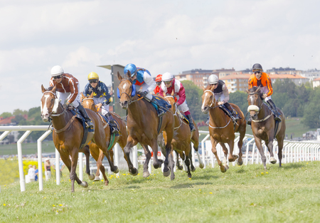 STOCKHOLM, SWEDEN - JUNE 06: Tough race between the race horses and colorful jockeys at Nationaldags Galoppen at Gardet. June 6, 2017 in Stockholm, Swedenのeditorial素材