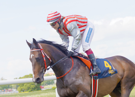 STOCKHOLM, SWEDEN - JUNE 06, 2017: Side view of a female jockey riding a brown arabian race horse at Nationaldags Galoppen at Gardet. June 6, 2017 in Stockholm, Swedenのeditorial素材