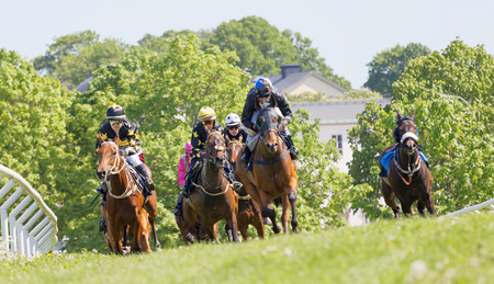 STOCKHOLM, SWEDEN - JUNE 06, 2017: Fight between jockeys riding arabian race horses in a slope, trees in the background at Nationaldags Galoppen at Gardet. June 6, 2017 in Stockholm, Swedenのeditorial素材