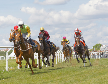 STOCKHOLM, SWEDEN - JUNE 06, 2017: Tough fight between jockeys riding arabian race horses at Nationaldags Galoppen at Gardet. June 6, 2017 in Stockholm, Swedenのeditorial素材
