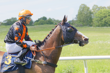 STOCKHOLM, SWEDEN - JUNE 06, 2017: Closeup, side view of a jockey riding a brown arabian race horse at Nationaldags Galoppen at Gardet. June 6, 2017 in Stockholm, Swedenのeditorial素材