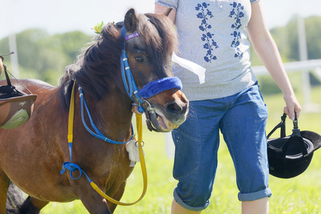 STOCKHOLM, SWEDEN - JUNE 06, 2017: Woman leading pony gallop race horses, audience in the background at Nationaldags Galoppen at Gardet. June 6, 2017 in Stockholm, Swedenのeditorial素材