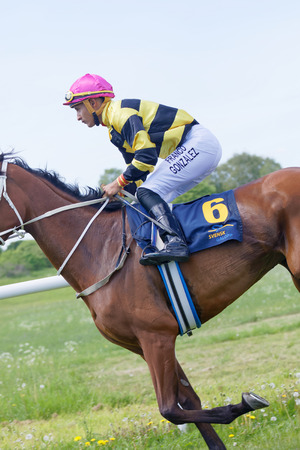 STOCKHOLM, SWEDEN - JUNE 06, 2017: Side view of a jockey riding a brown arabian race horse at Nationaldags Galoppen at Gardet. June 6, 2017 in Stockholm, Swedenのeditorial素材