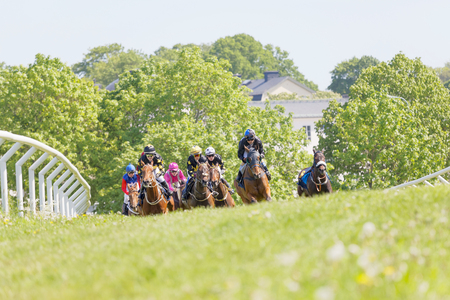 STOCKHOLM, SWEDEN - JUNE 06, 2017: Fight between jockeys riding arabian race horses in a slope, trees in the background at Nationaldags Galoppen at Gardet. June 6, 2017 in Stockholm, Swedenのeditorial素材