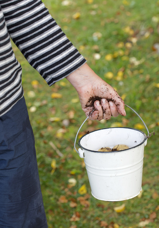 Cloddy hand of a farmer holding a bucket full of potatoの写真素材