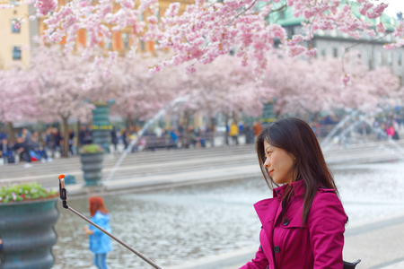 STOCKHOLM, SWEDEN - APR 29, 2017: Asian girl i pink dress taking a selfie amoung the beautiful blooming cherry flowers in the public park Kungstradgarden in central Stockholmのeditorial素材