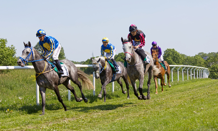 STOCKHOLM, SWEDEN - JUNE 06, 2019: Tough fight between many jockeys riding arabian race horses, trees in the background at ATG Nationaldags Galoppen at Gardet. June 6, 2019 in Stockholm, Swedenのeditorial素材