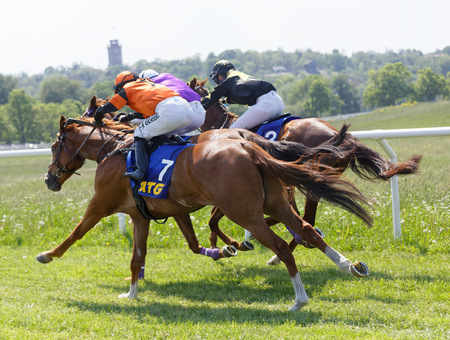 STOCKHOLM, SWEDEN - JUNE 06, 2019: Rear side view of fighting colorful jockeys on gallop race horses at Nationaldags Galoppen at Gardet. June 6, 2017 in Stockholm, Sweden