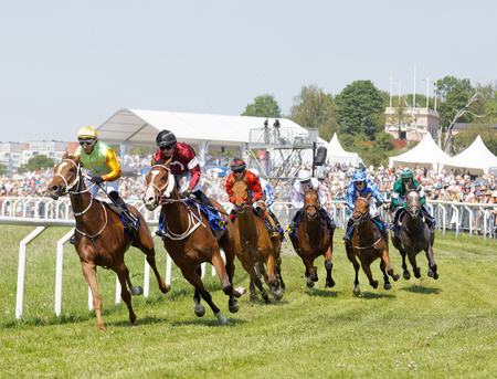 STOCKHOLM, SWEDEN - JUNE 06, 2019: Tough fight between many jockeys riding arabian race horses and audience in the background at ATG Nationaldags Galoppen at Gardet. June 6, 2019 in Stockholm, Swedenのeditorial素材