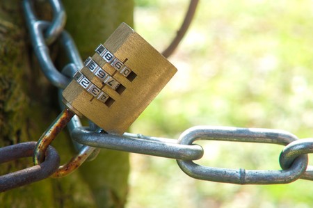 combination lock with chain around a treeの写真素材