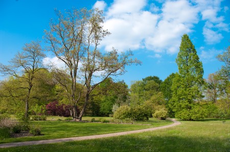 spring in tree park in eastern Netherlandsの写真素材