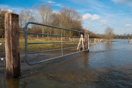 gate in a flooded meadow in the Netherlandsの写真素材