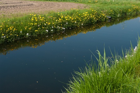 small ditch in agrcultural landscape in the netherlandsの写真素材
