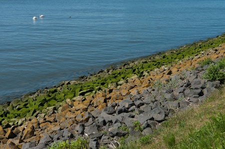 rocks on a canal bank covered with various colors of algaeの写真素材