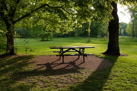 backlighted picnic bench under the treesの写真素材