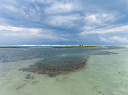tropical sea at dumaluan beach, Bohol, Philippines