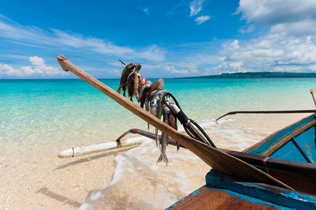 catch of the day on a traditional fishing boat in the Philippines