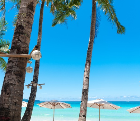 white parasols on a tropical beachの写真素材