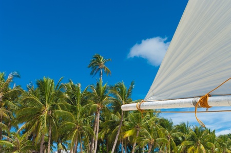 white sail against a tropica backgroundの写真素材