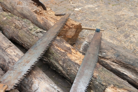 two old hand saws on some wood pilesの写真素材